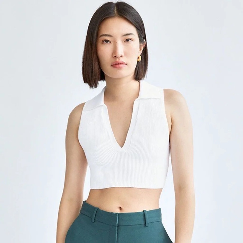 ARITZIA Sculpt Knit Deep V Collared Shirt